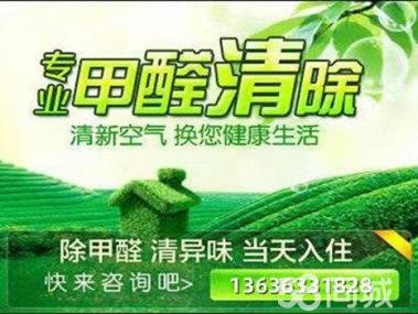 母嬰甲醛治理服務(wù)工裝家裝除甲醛工廠,空氣凈化提供甲醛檢測、汽車除醛、甲醛治理/除甲醛服務(wù)